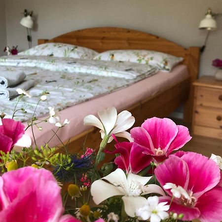 Ferienwohnung Elbsegler Bleckede Eksteriør billede